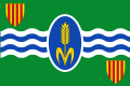 Vencillón