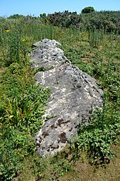 Menhir couché