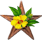 Botany Barnstar.png