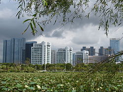 Zhoushan cityview