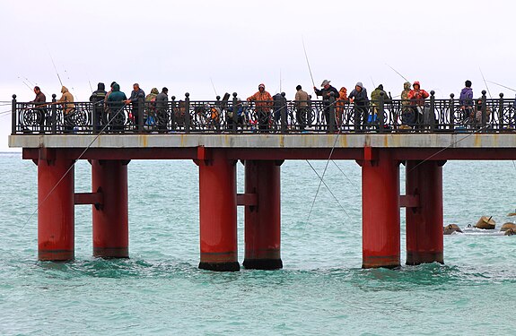 Fishing in Sochi