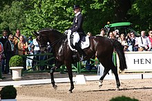 Photo d'un cheval au pas monté par une cavalière, en arrière-plan des spectateurs