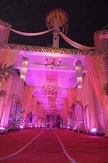 Weeding (34) 14.jpg