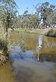 The Avoca River, near Logan