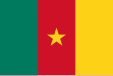 Flag of Cameroon