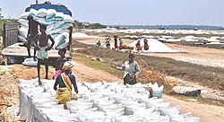 Salt pans in Marakkanam