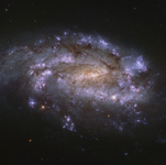 NGC 1559