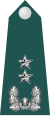 少将