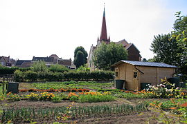 Les jardins familiaux de la zone de La Bassure.