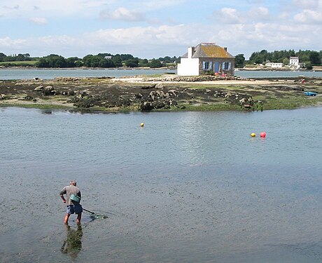 Fisherman with push nets, Brittany