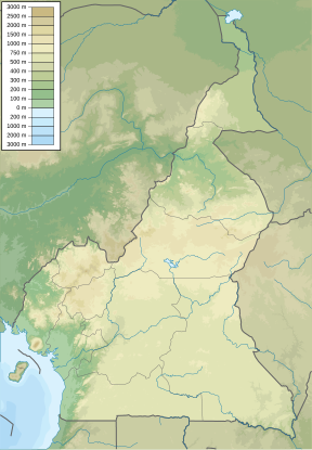 Campo-Ma’an-Nationalpark (Kamerun)