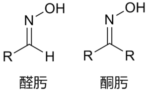 醛肟和酮肟