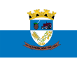 Vlag van Ajuricaba