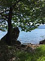 Partial view of Lake Trichonida.