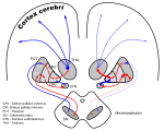 Ново SVG изображение