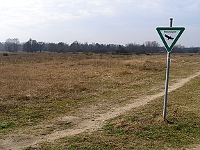 Blick in das Naturschutzgebiet