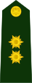 Brigadier general (Colombian National Army)[११]