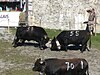 Foire du Valais in Martigny, Switzerland