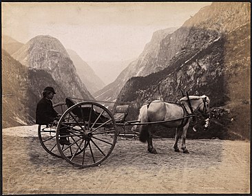 Karriol, Nærøydalen, Vestland, ca. 1888-94