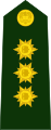 Brigadier generalcode: es is deprecated (Colombian National Army)[18]