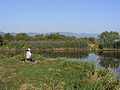 English: The Olt river near Miercurea Ciuc Magyar: Horgász az Olt folyónál, a város mellett Română: Râul Olt lângă Miercurea Ciuc