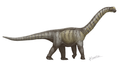 Camarasaurus jurský sauropodomorf