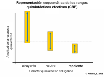 Chemotactic range fitting