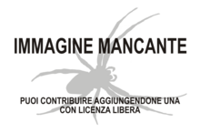 Immagine di Mesozygiella dunlopi mancante