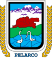 Pelarco