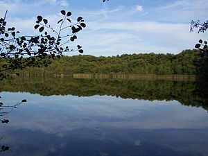 Natuurgebied Großes Heiliges Meer op de grens met Recke