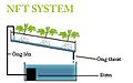 Hình xem trước của phiên bản lúc 08:27, ngày 19 tháng 5 năm 2016