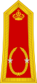 Général de brigade (Royal Moroccan Army)[२९]