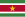 Vlag van Suriname