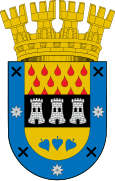 Escudo de Chillán