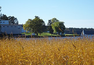 Verkets udde sett från Mälaren.