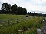 Paesaggio rurale in Jokioinen.