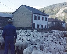 Comienza el retorno a Extremadura