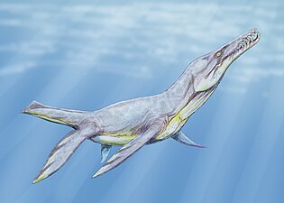 Art från släktet Plesiopleurodon i familjen Pliosauridae, konstnärlig tolkning.