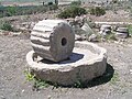 Volubilis mill