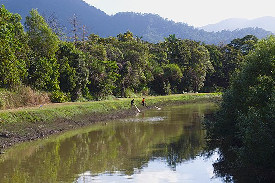 Saltwater Creek, Cairns