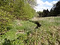 Schönsteiner Bach südlich der Sportanlage in Zinzenzell