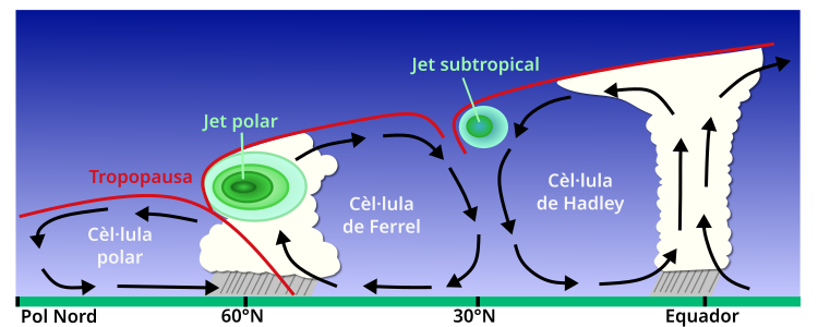 Secció transversal dels corrents en jet subtropical i polar per latitud