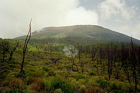 Image illustrative de l’article Parc national de Kahuzi-Biega