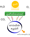 தமிழ்