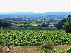 Image illustrative de l’article Rousset-les-vignes (côtes-du-rhône villages)