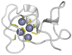 Metallothionein