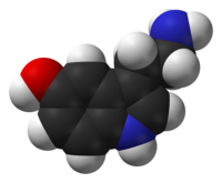 Space-filling model of the serotonin molecule