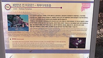 하부 다대포층 안내판 북위 35° 03′ 52.8″ 동경 129° 01′ 12.8″﻿ / ﻿북위 35.064667° 동경 129.020222° ﻿ / 35.064667; 129.020222