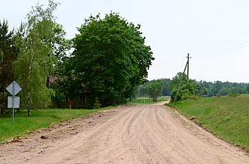 Vieškelis pro Papušynį