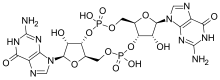 Cyclic-di-GMP.svg